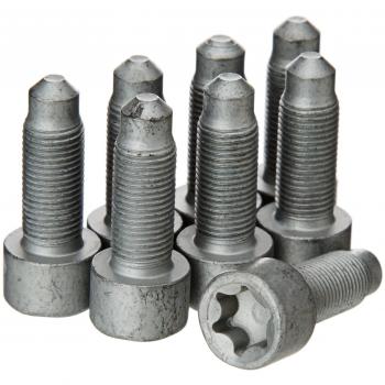 LuK 411 0160 10 Tornillos de volante