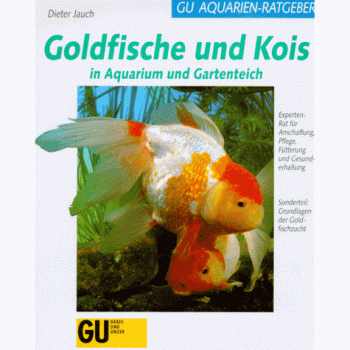 Goldfische und Kois in Aquarium und Gartenteich