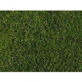 Plantes de pré Noch, Vert Moyen, 7291, coloré