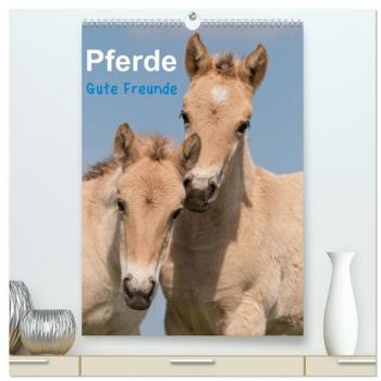 Premium Pferde Wandkalender 2024 DIN A2 hoch