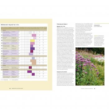 Einfach schöne Beete!: Immerblühende Pflanz-Kombis nach dem Baukastenprinzip: für jeden Gartenstil, pflegeleicht, für jeden Standort (GU Garten Extra)