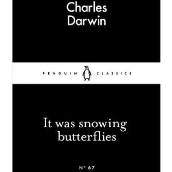 It Was Snowing Butterflies