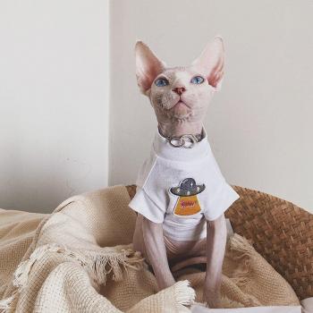 Cartoon Sphynx Cat Clothing