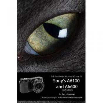 The Friedman Archives Guide to Sony's Alpha 6100 and 6600 (B&W Edition)