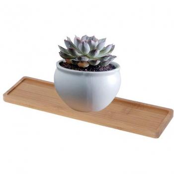 Mini Bamboo Plant Pot Tray