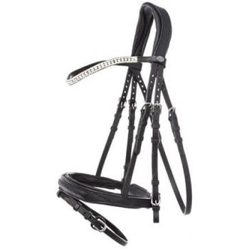 Everness Premium Riding Bridle