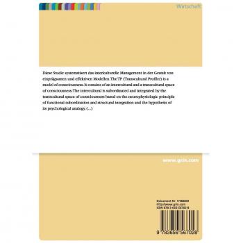 Multimodellierung des Interkulturellen Managements. Für die Ausbildung und die Praxis