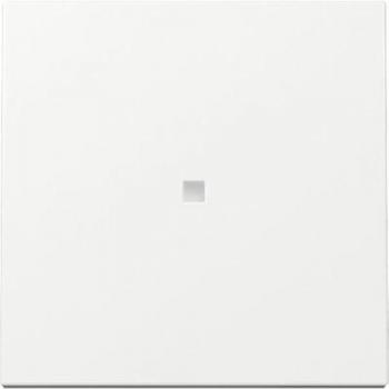 Rocker Switch Cover Plate