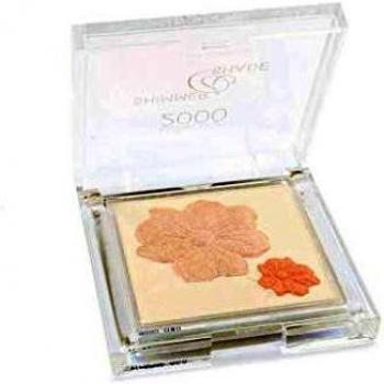 Collection Shimmer & Shade Highlighter