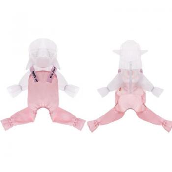 Manteau imperméable mignon pour caniche