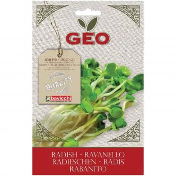Bavicchi Bio Graines Germées Radis Rouge, 15 g