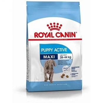 Royal Canin Maxi Puppy Actif 15 kg
