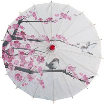 Guarda Chuva Paraguai Classic