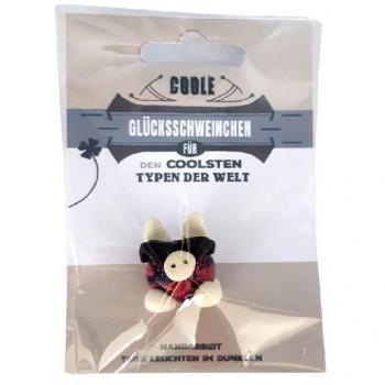 Spardosen-Helden: Das coole Glücksschwein