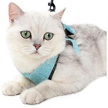 Dotoner Harnais Antifuite pour Chat