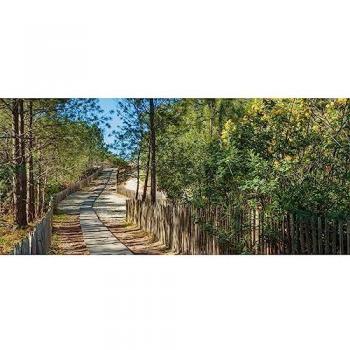 Peinture Imprimée HD La Salie Sud 65x145 cm