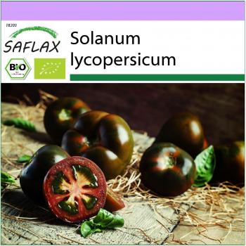 Organic Black Cherry Tomato