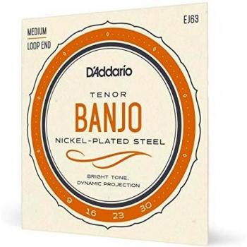 D'Addario EJ63 4-String Tenor Banjo, Nickel, 9-30 (Loop End) N...