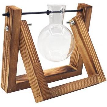 Hydroponisches Terrarium für Bonsai-Pflanzen