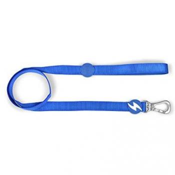 Correa Dashi Solid Azul para Perros