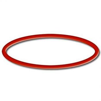 Pompa Piscina O‑Ring 2 – Sunsun CPP‑10000
