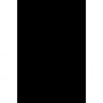 Vitalsource Technologies, Inc. Intermetallic Semiconducting Films