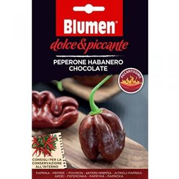 Semi di habanero chocolate