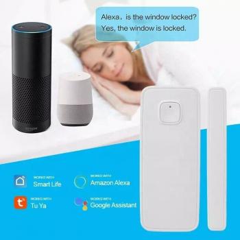 Tuya Smart Home Magnetic Window Alarm