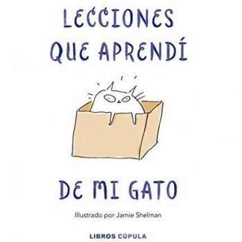 Lecciones De Vida Que Aprendí De Mi Gato