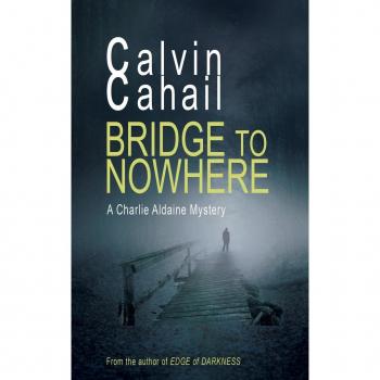 Bridge to Nowhere (A Detective Aldaine Mystery #1)