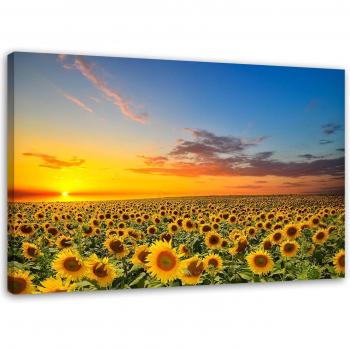 Immagine su tela Girasoli al Tramonto 60x40 Blu