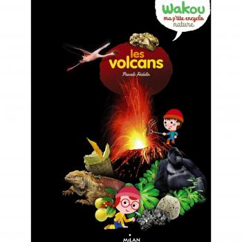 Les volcans
