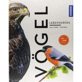 Vögel lebensgroß (Großformat)