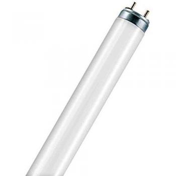 Lumilux lineal 18W/954 Osram