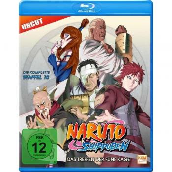 NARUTO SHIPPUDEN STAFFEL 10