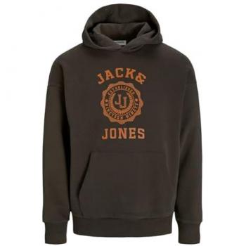 Brown Mulch Casual Hoodie by Jack & Jones