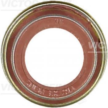 Paraolio valvole REINZ 70-23096-10