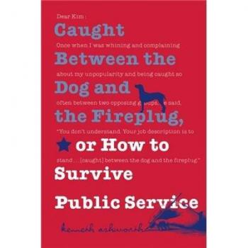 Caught between the dog and the fireplug, or how to survive public service.