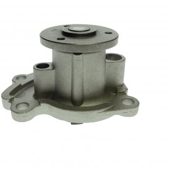 Pompa acqua Saleri PA1504