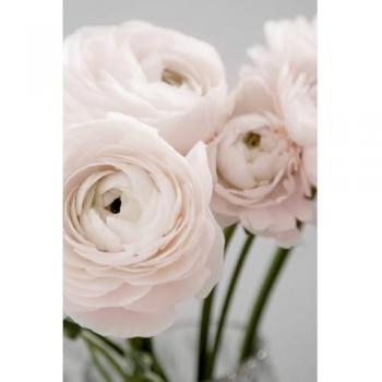 Peinture sur Verre Bouquet de Roses 80x120