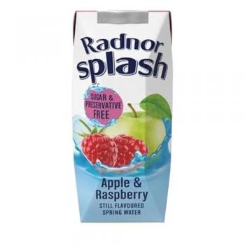 Radnor Hills Sparkling Apple Raspberry Beverage 250ml (Pack of 24)