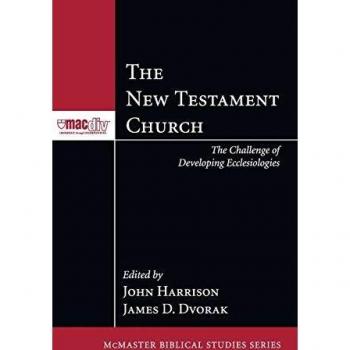 The New Testament Church (McMaster Biblical Studies)