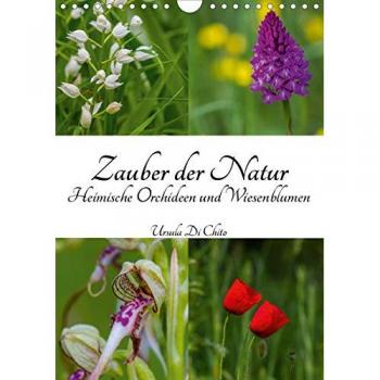 Zauber der Natur