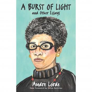 A Burst of Light: and Other Essays