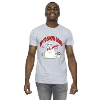Mandalorian Snowbound T‑Shirt – Grey, S