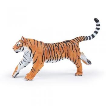 Tigre Courant