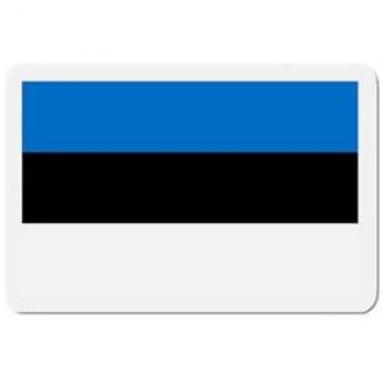 Synthetic Resin Estonia Flag Magnet Set
