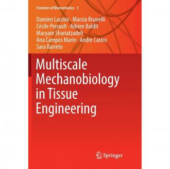 Multiscale Mechanobiology in Tissue Engineering