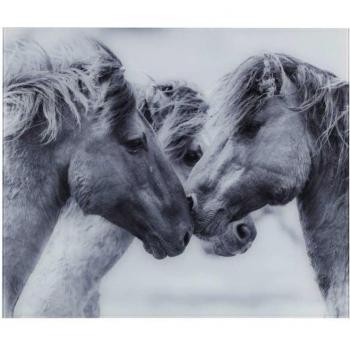 Pannello paraschizzi grigio Cavalli Selvaggi 60x50 cm