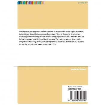 Kempka, Stefan: Corporate Valuation of Endesa